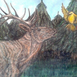 Знакомство