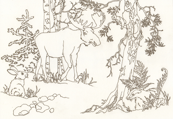 Раскраска))