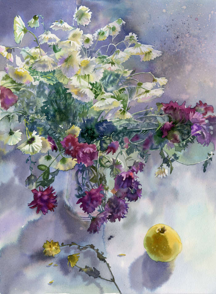 Последние хризантемы