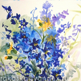 Лето. Дикие дельфиниумы