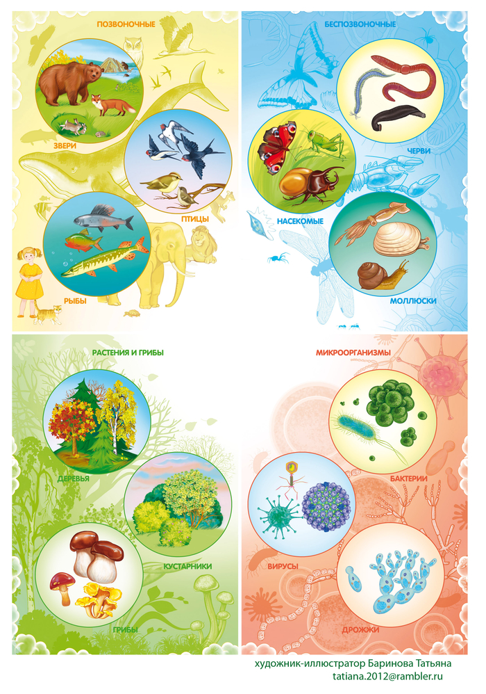 живая природа