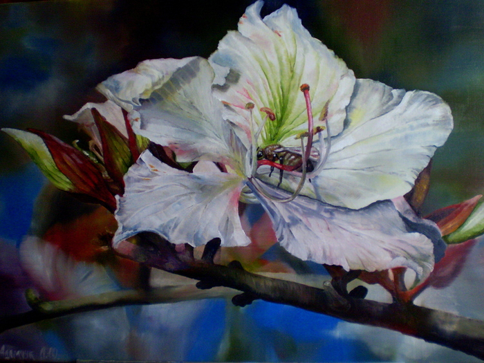 Майский мед