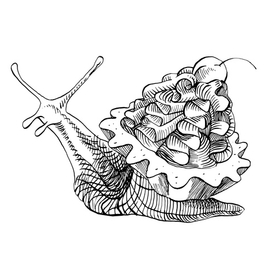 Улитка со сливками