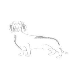 Vector Sketched Dachshund