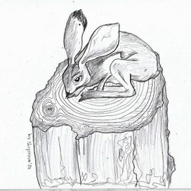 заяц на пне