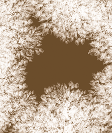 Осенний альбом / 4 /