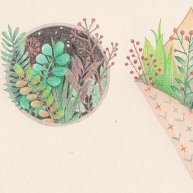 ботанические