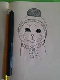 зимний кот, процесс