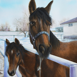 Принцесса и малыш 