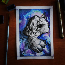 Космический кот