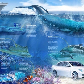 (без названия)