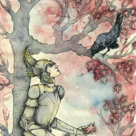 рыцарь красоты