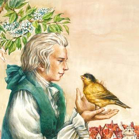 Моцарт. Иллюстрация на обложку.