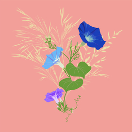 Букет из полевых цветов