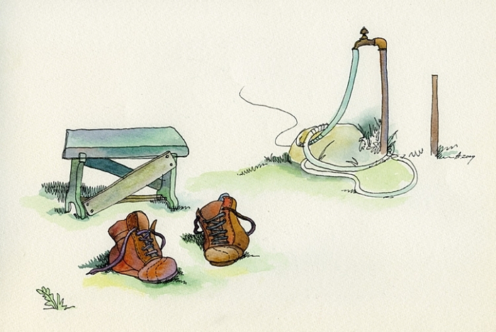 дачные зарисовки