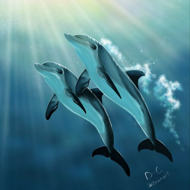 Морские жители