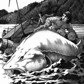 Происшествие на плоту. Белуга