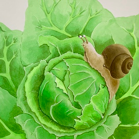 Улитка. Г. Сапгир