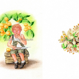 сладкоежка, Цветочные имена