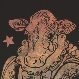 Черепаха Квази 