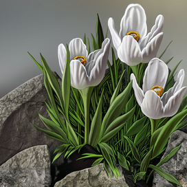 цветы-3-д фрагмент