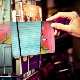 Открытка с чайкой