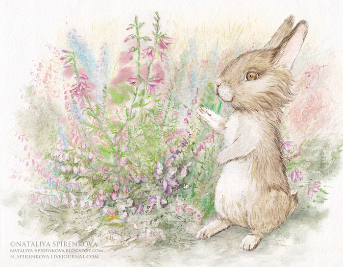 Рисунок для шоколадки.