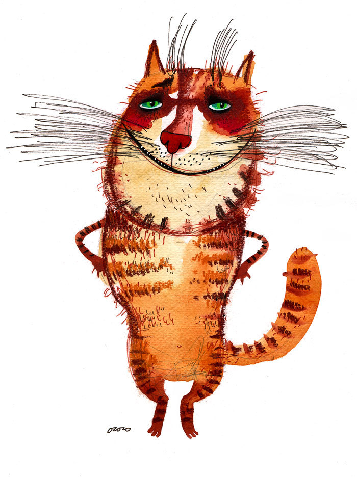 суперкотик для murziko