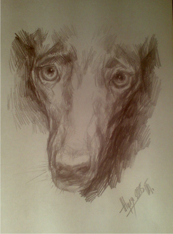 Вовсе не кусачая собака Жуля