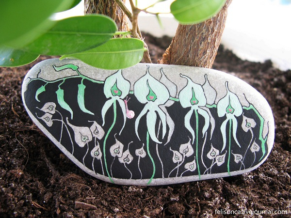 Орхидеюшки