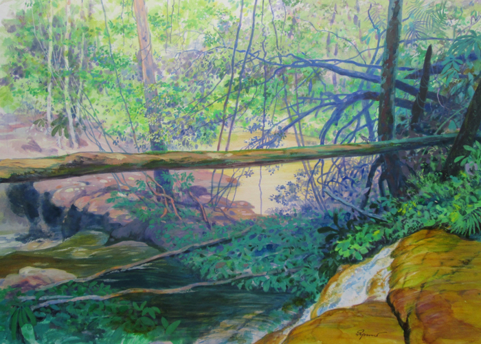 Речные перекаты