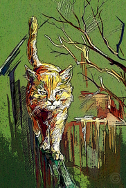 "Территория"