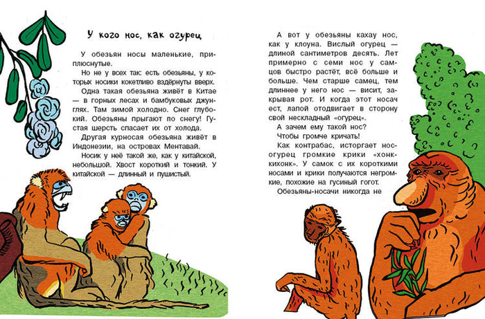 Кто без крыльев живет_17