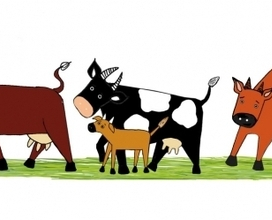 (без названия)