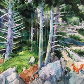 Лис и побережье