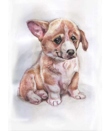 пёсик Борбосик