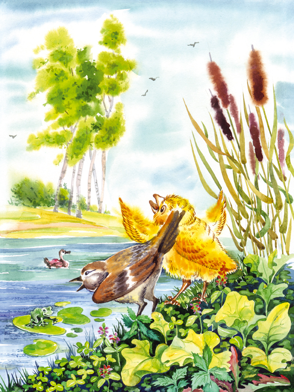 "Лесные истории". Сказка "Куда полетел ветер"