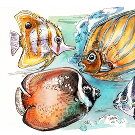 Коралловые рыбы