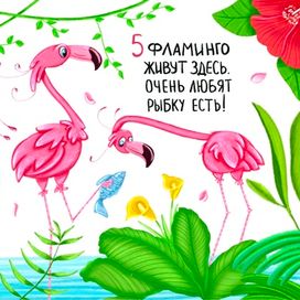 Весёлые фламинго