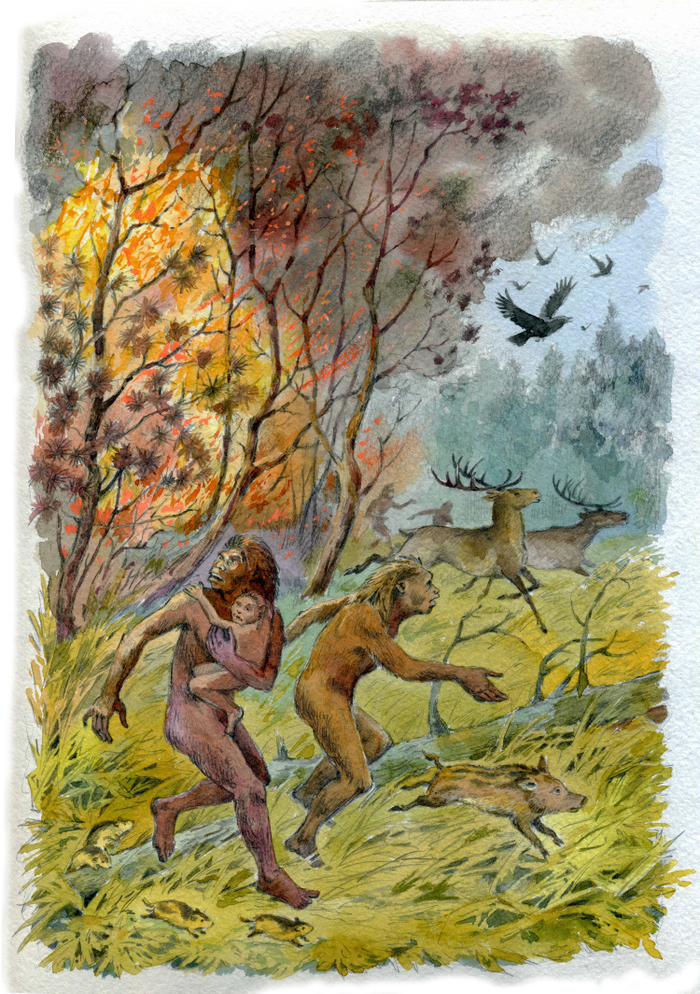 "Рам и Гау" Лесной пожар.