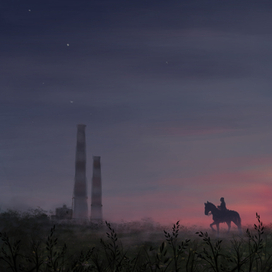 Всадник  в поле