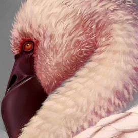 Розовый фламинго 