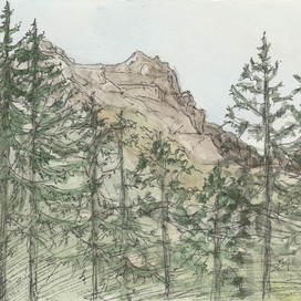 Горы. Вид из леса