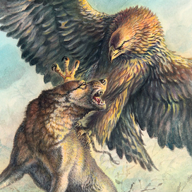 Алджел-Той.  Атака...