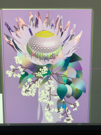 Цветок Протея