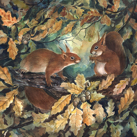 Белки в осенней листве дуба