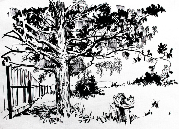 Кот под дубом