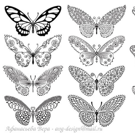 бабочки