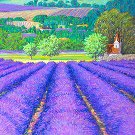 Лавандовые поля