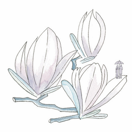 Магнолия. Город Люксембург.